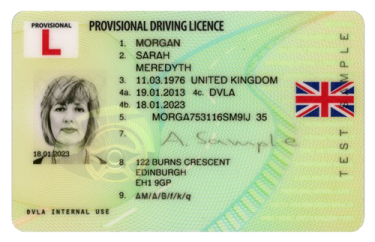 provisional driving licence sample